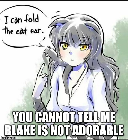 YOU CANNOT TELL ME BLAKE IS NOT ADORABLE | made w/ Imgflip meme maker