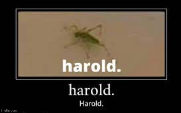 Harold. | made w/ Imgflip meme maker