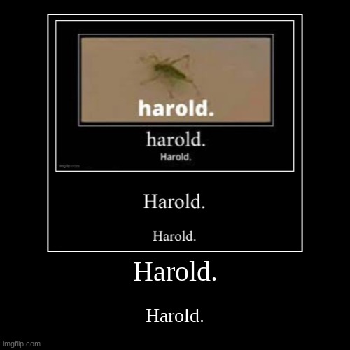 Harold. | image tagged in funny,demotivationals | made w/ Imgflip demotivational maker