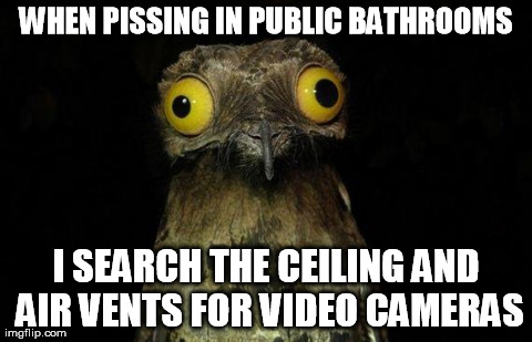Weird Stuff I Do Potoo Meme | WHEN PISSING IN PUBLIC BATHROOMS I SEARCH THE CEILING AND AIR VENTS FOR VIDEO CAMERAS | image tagged in memes,weird stuff i do potoo,AdviceAnimals | made w/ Imgflip meme maker