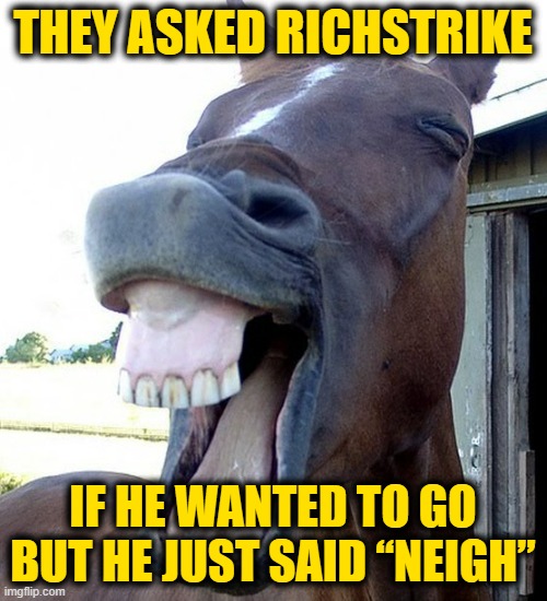 Funny Horse Face | THEY ASKED RICHSTRIKE IF HE WANTED TO GO BUT HE JUST SAID “NEIGH” | image tagged in funny horse face | made w/ Imgflip meme maker