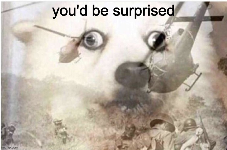 vietnam dog | you'd be surprised | image tagged in vietnam dog | made w/ Imgflip meme maker