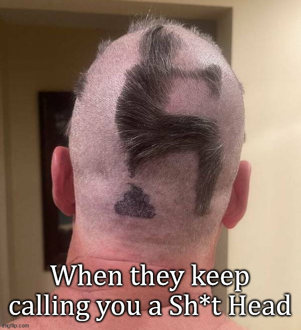 When they keep calling you a Sh*t Head | image tagged in gross | made w/ Imgflip meme maker