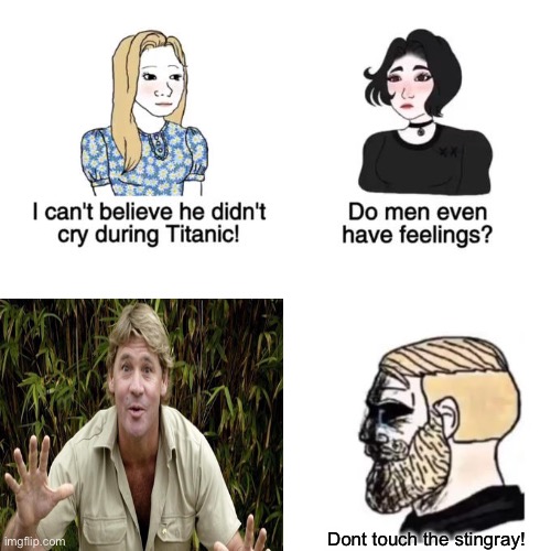 I cant believe he didnt cry at the titanic | Dont touch the stingray! | image tagged in i cant believe he didnt cry | made w/ Imgflip meme maker