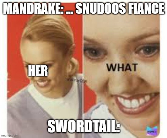 wof meme from book 13 (pls add a totaly rando comment.) | MANDRAKE: ... SNUDOOS FIANCE; HER; SWORDTAIL: | image tagged in the what,wof,wings of fire,sword,tail | made w/ Imgflip meme maker