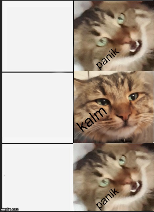 High Quality Tarcin Panik Kalm Blank Meme Template