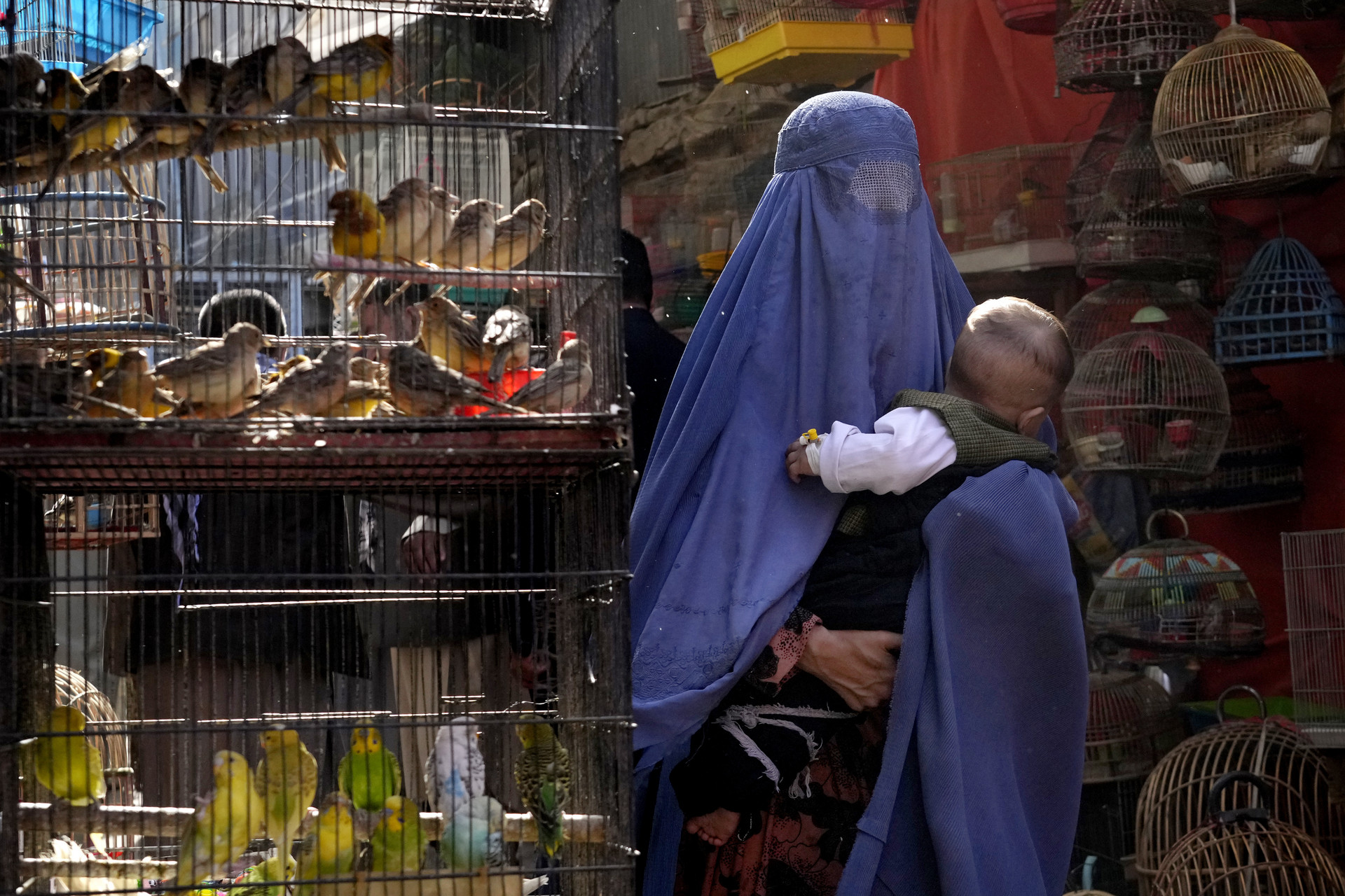 High Quality Afghan woman in burqa Blank Meme Template