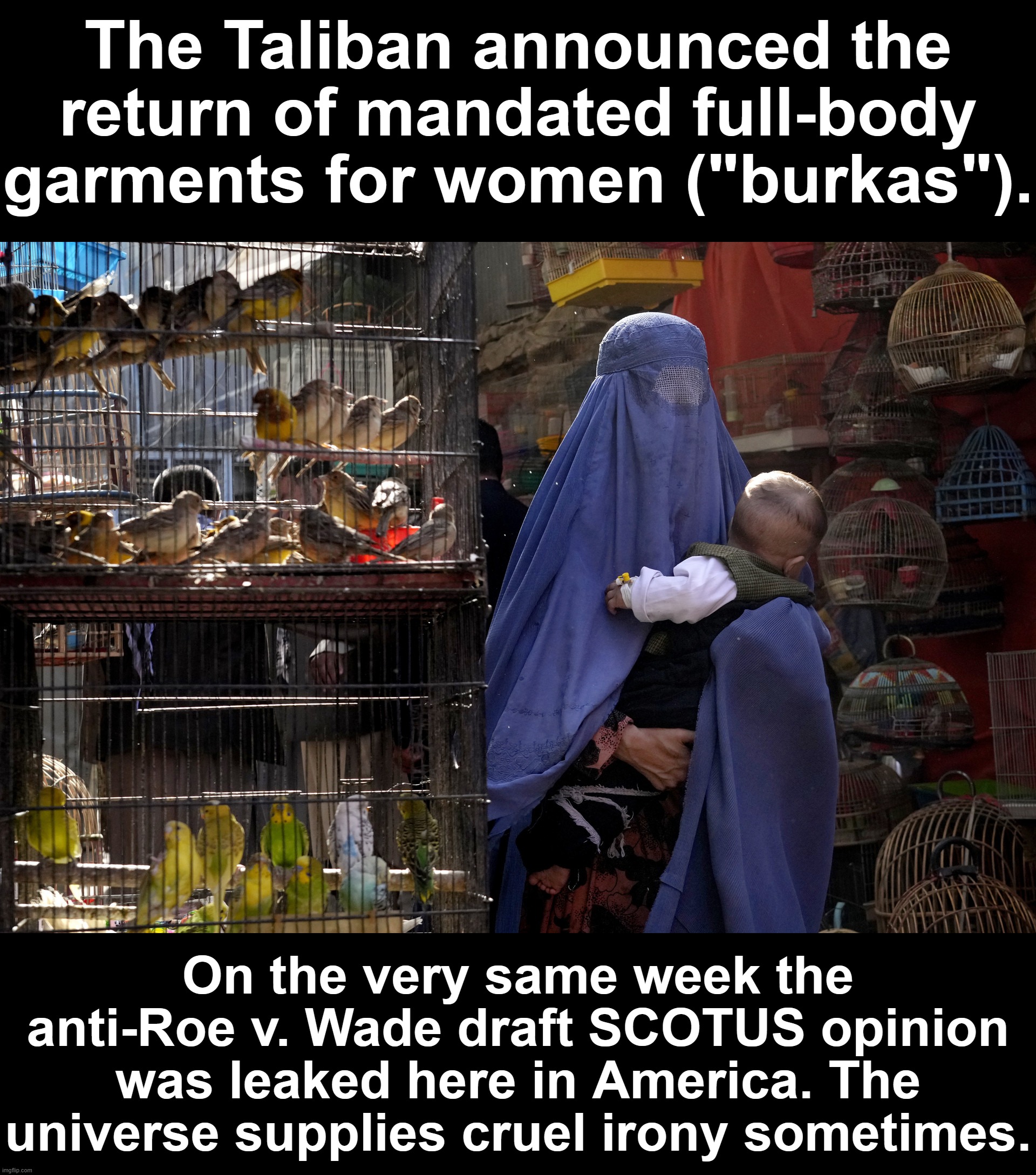 From America to Afghanistan, misogynists never go away. They just bide their time. | The Taliban announced the return of mandated full-body garments for women ("burkas"). On the very same week the anti-Roe v. Wade draft SCOTUS opinion was leaked here in America. The universe supplies cruel irony sometimes. | image tagged in afghan woman in burqa,feminism,pro-choice,taliban,afghanistan,misogyny | made w/ Imgflip meme maker