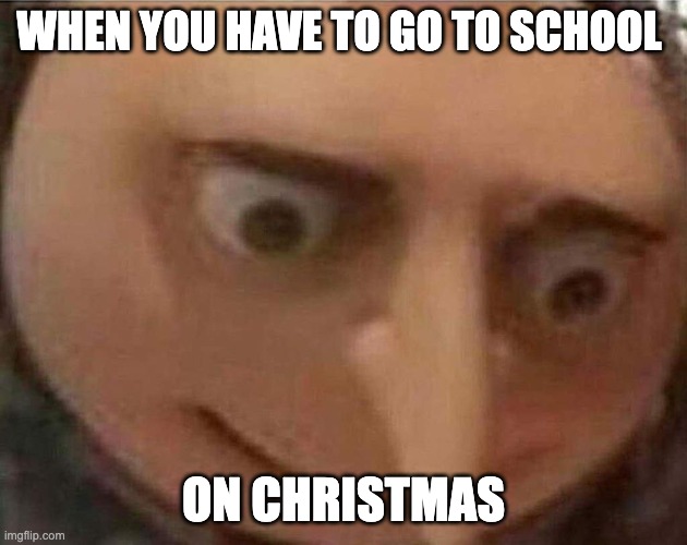 gru meme | WHEN YOU HAVE TO GO TO SCHOOL; ON CHRISTMAS | image tagged in gru meme | made w/ Imgflip meme maker