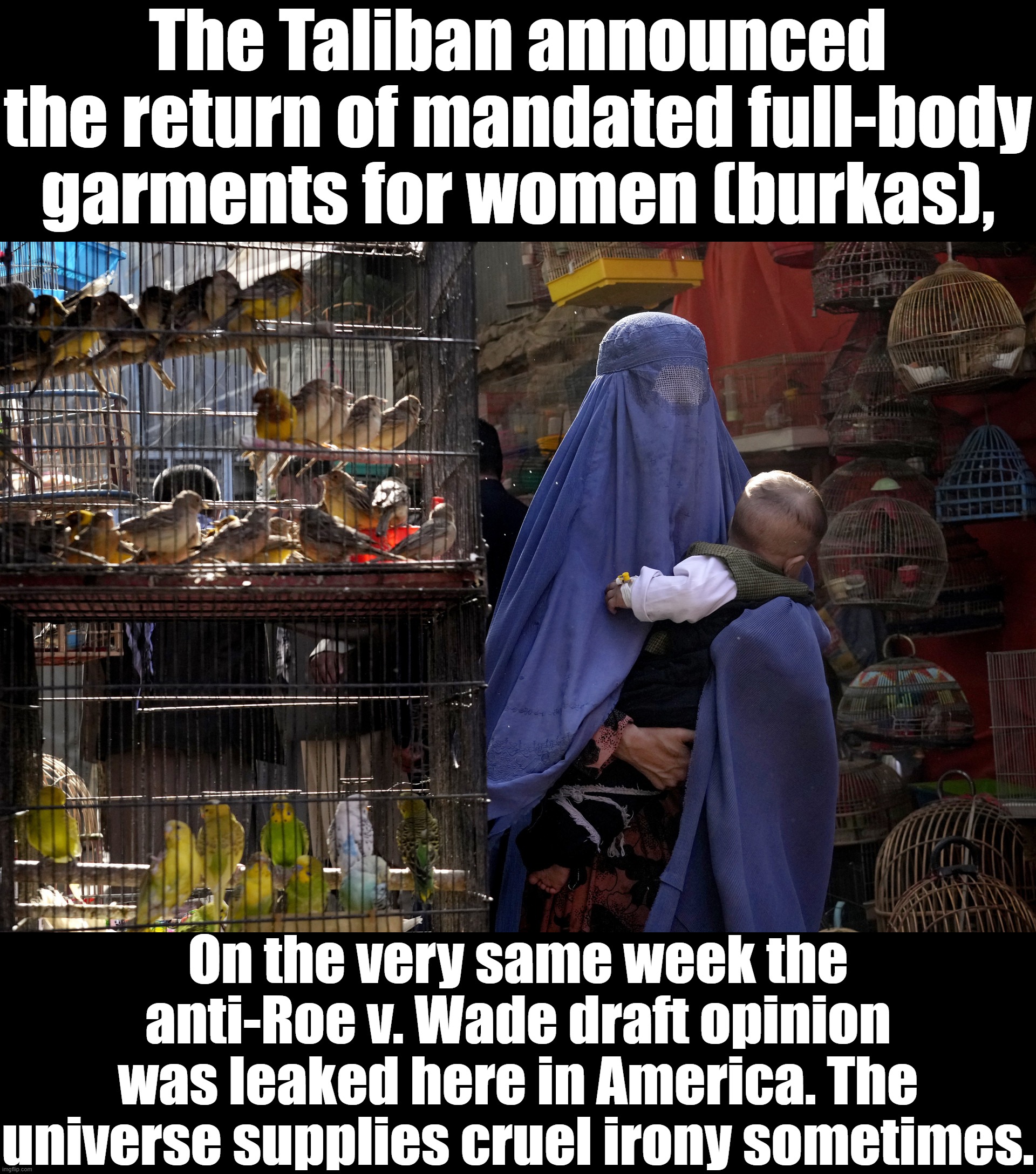 From America to Afghanistan, misogynists never go away. They just bide their time. | The Taliban announced the return of mandated full-body garments for women (burkas), On the very same week the anti-Roe v. Wade draft opinion was leaked here in America. The universe supplies cruel irony sometimes. | image tagged in afghan woman in burqa | made w/ Imgflip meme maker