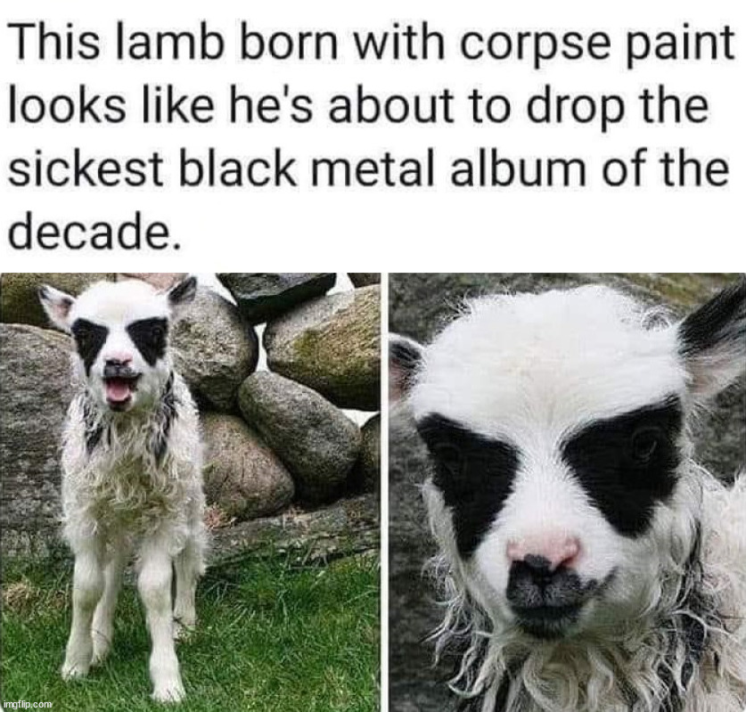 Lyrics would be cool and so would the vocals | image tagged in metal,death metal,dark | made w/ Imgflip meme maker