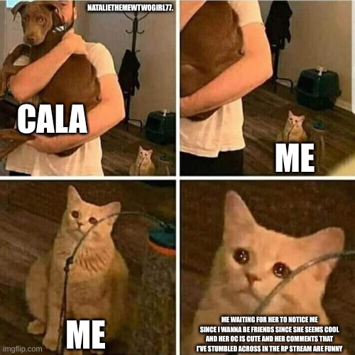 just a little vent (i don't mean to be selfish cala sorry ) | NATALIETHEMEWTWOGIRL77. CALA; ME; ME; ME WAITING FOR HER TO NOTICE ME SINCE I WANNA BE FRIENDS SINCE SHE SEEMS COOL AND HER OC IS CUTE AND HER COMMENTS THAT I'VE STUMBLED ACROSS IN THE RP STREAM ARE FUNNY | image tagged in sad cat holding dog | made w/ Imgflip meme maker