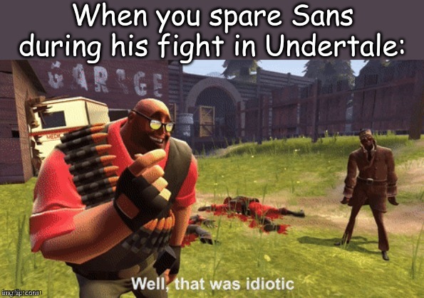 Cross-Posted on the TF2 stream! | When you spare Sans during his fight in Undertale: | image tagged in well that was idiotic | made w/ Imgflip meme maker