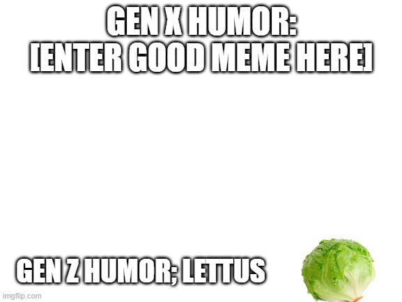 idk | GEN X HUMOR: [ENTER GOOD MEME HERE]; GEN Z HUMOR; LETTUS | image tagged in blank white template | made w/ Imgflip meme maker