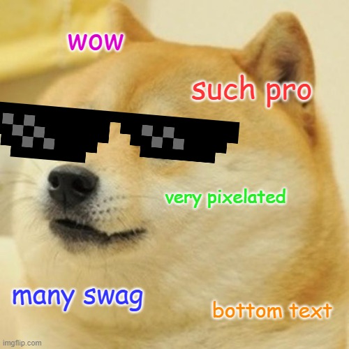 Doge | wow; such pro; very pixelated; many swag; bottom text | image tagged in memes,doge | made w/ Imgflip meme maker