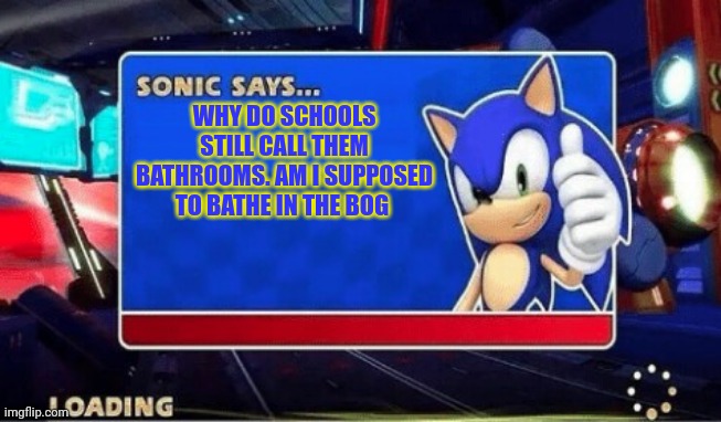 Questionable bathing | WHY DO SCHOOLS STILL CALL THEM BATHROOMS. AM I SUPPOSED TO BATHE IN THE BOG | image tagged in sonic says,sonic the hedgehog | made w/ Imgflip meme maker