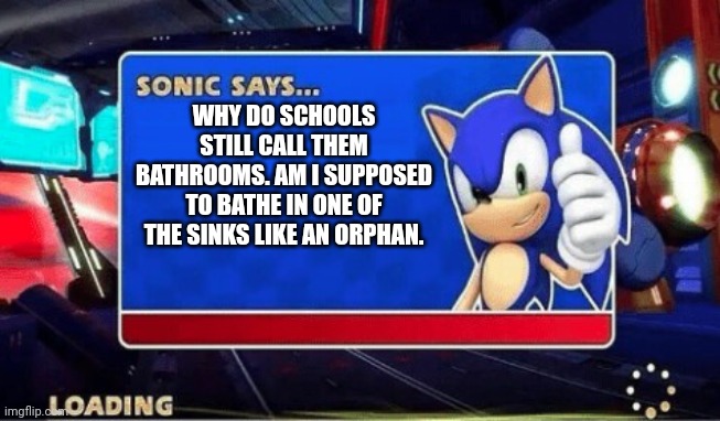 Sonic says bathrooms | WHY DO SCHOOLS STILL CALL THEM BATHROOMS. AM I SUPPOSED TO BATHE IN ONE OF THE SINKS LIKE AN ORPHAN. | image tagged in sonic says | made w/ Imgflip meme maker