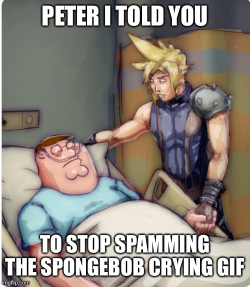 PETER I TOLD YOU | PETER I TOLD YOU; TO STOP SPAMMING THE SPONGEBOB CRYING GIF | image tagged in peter i told you | made w/ Imgflip meme maker
