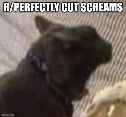 R/PERFECTLY CUT SCREAMS | made w/ Imgflip meme maker