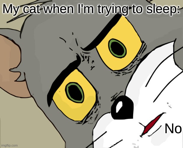 Sleep deprivation | My cat when I'm trying to sleep:; No | image tagged in memes,unsettled tom | made w/ Imgflip meme maker