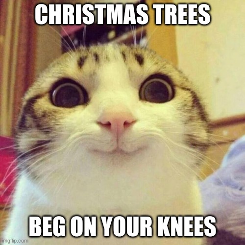 Smiling Cat | CHRISTMAS TREES; BEG ON YOUR KNEES | image tagged in memes,smiling cat | made w/ Imgflip meme maker