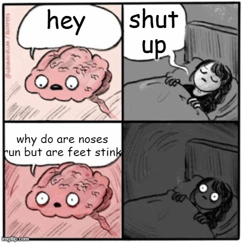 brain before sleep |  shut up; hey; why do are noses run but are feet stink | image tagged in brain before sleep | made w/ Imgflip meme maker