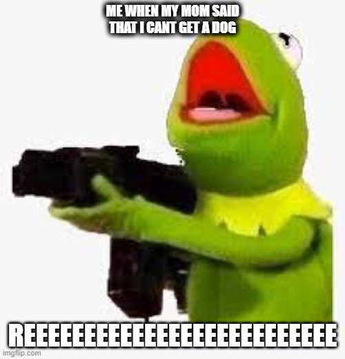 GET ME A DOG | ME WHEN MY MOM SAID THAT I CANT GET A DOG; REEEEEEEEEEEEEEEEEEEEEEEEEE | image tagged in dog,mom,bruh,donald trump approves | made w/ Imgflip meme maker