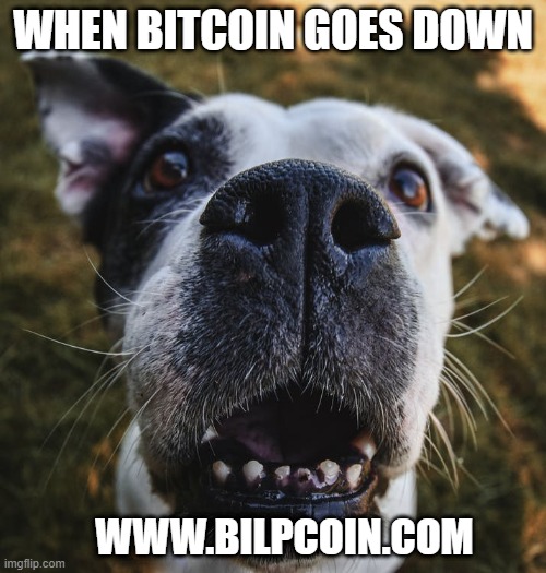 WHEN BITCOIN GOES DOWN; WWW.BILPCOIN.COM | made w/ Imgflip meme maker