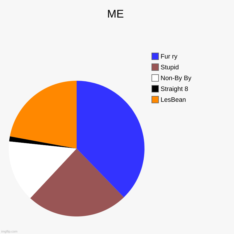ME | LesBean, Straight 8, Non-By By, Stupid, Fur ry | image tagged in charts,pie charts | made w/ Imgflip chart maker