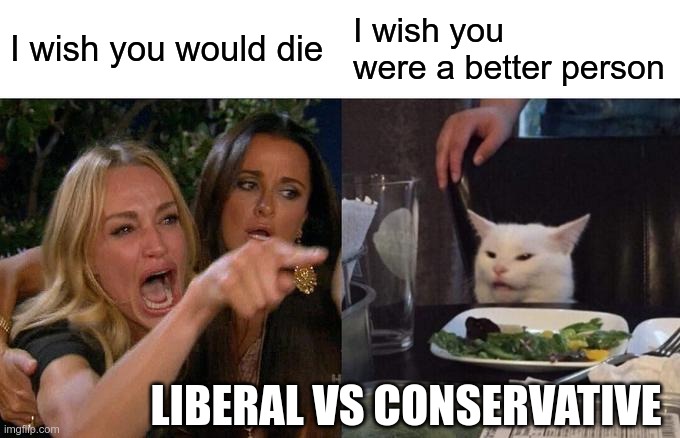 Who's the adult again? | I wish you would die; I wish you were a better person; LIBERAL VS CONSERVATIVE | image tagged in memes,woman yelling at cat | made w/ Imgflip meme maker