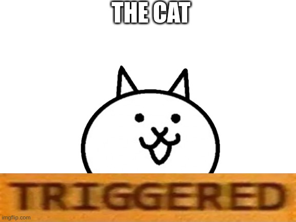 THE CAT | made w/ Imgflip meme maker