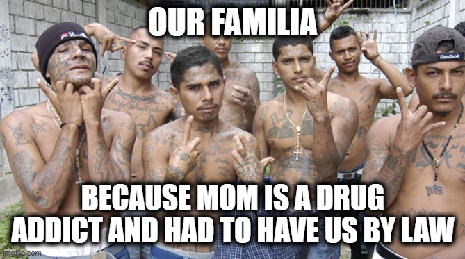 Gang members  | OUR FAMILIA BECAUSE MOM IS A DRUG ADDICT AND HAD TO HAVE US BY LAW | image tagged in gang members | made w/ Imgflip meme maker