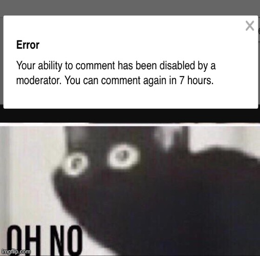 Alert! | image tagged in oh no cat | made w/ Imgflip meme maker