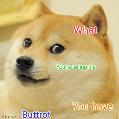 Doge Meme | What; You're telling me; You have; Buttrot | image tagged in memes,doge | made w/ Imgflip meme maker