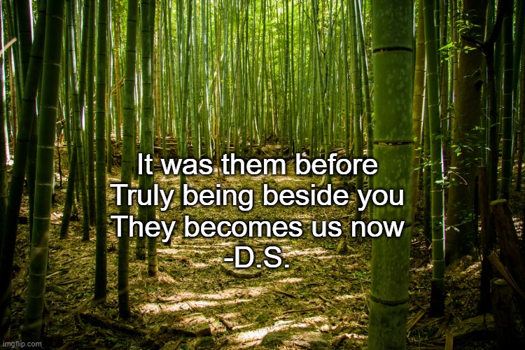 They becomes us | It was them before
Truly being beside you
They becomes us now
-D.S. | image tagged in haiku,poem,support | made w/ Imgflip meme maker