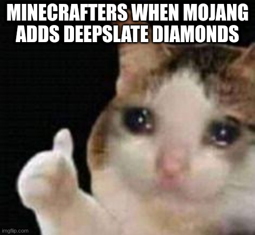 well yes but no emerald armor | MINECRAFTERS WHEN MOJANG ADDS DEEPSLATE DIAMONDS | image tagged in approved crying cat | made w/ Imgflip meme maker