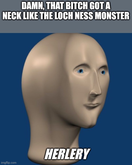 meme man | DAMN, THAT BITCH GOT A NECK LIKE THE LOCH NESS MONSTER HERLERY | image tagged in meme man | made w/ Imgflip meme maker