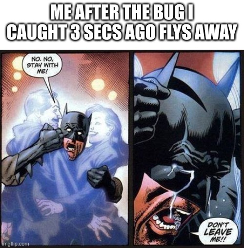 NOT THE BUGGGGGGGGGGGG | ME AFTER THE BUG I CAUGHT 3 SECS AGO FLYS AWAY | image tagged in batman don't leave me | made w/ Imgflip meme maker