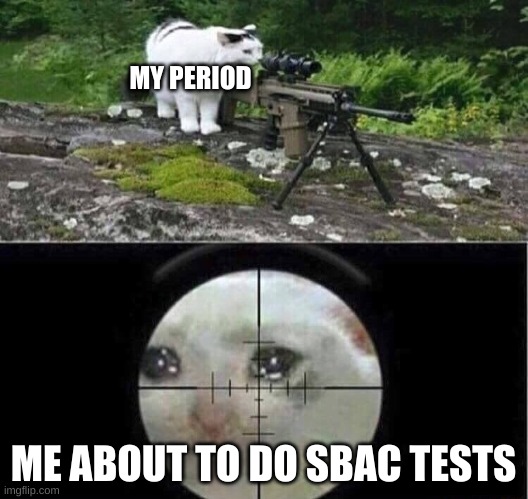 it gonna happen right then, mark my words! | MY PERIOD; ME ABOUT TO DO SBAC TESTS | image tagged in sniper cat | made w/ Imgflip meme maker