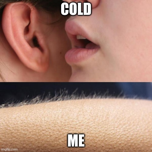 Whisper and Goosebumps | COLD; ME | image tagged in whisper and goosebumps | made w/ Imgflip meme maker