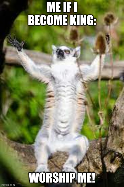 Worship Me! |  ME IF I BECOME KING:; WORSHIP ME! | image tagged in king,lemur | made w/ Imgflip meme maker