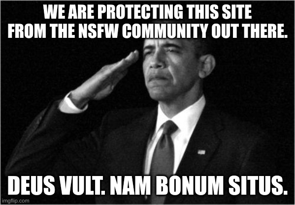 We are doing a good job. | WE ARE PROTECTING THIS SITE FROM THE NSFW COMMUNITY OUT THERE. DEUS VULT. NAM BONUM SITUS. | image tagged in obama-salute | made w/ Imgflip meme maker