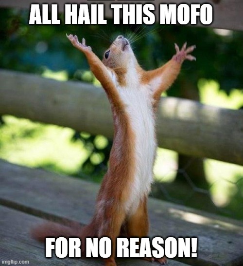 All Hail | ALL HAIL THIS MOFO FOR NO REASON! | image tagged in all hail | made w/ Imgflip meme maker