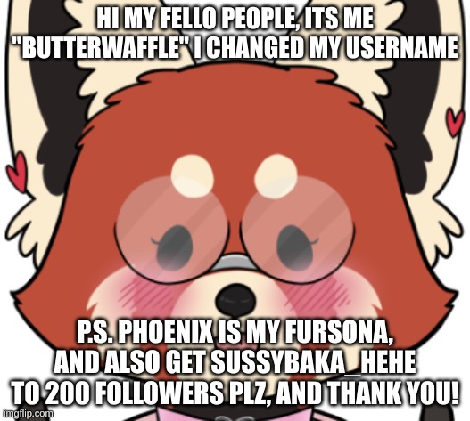 idk | HI MY FELLO PEOPLE, ITS ME "BUTTERWAFFLE" I CHANGED MY USERNAME; P.S. PHOENIX IS MY FURSONA, AND ALSO GET SUSSYBAKA_HEHE TO 200 FOLLOWERS PLZ, AND THANK YOU! | image tagged in hello this is dog | made w/ Imgflip meme maker