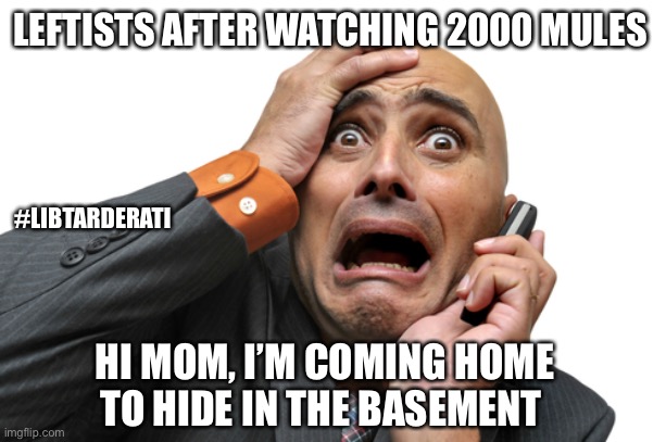 The facts are hurting my feelings | LEFTISTS AFTER WATCHING 2000 MULES; #LIBTARDERATI; HI MOM, I’M COMING HOME TO HIDE IN THE BASEMENT | image tagged in triggered,leftists,back to the basement,snowflakes,tds,facts not feelings | made w/ Imgflip meme maker
