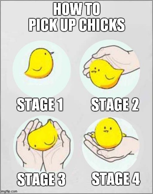 One Day This May Come In Useful ! | HOW TO PICK UP CHICKS; STAGE 1; STAGE 2; STAGE 4; STAGE 3 | image tagged in fun,chicks,life lessons | made w/ Imgflip meme maker
