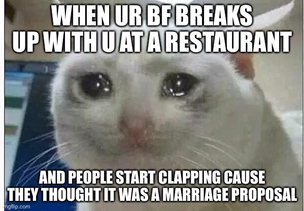 crying cat | WHEN UR BF BREAKS UP WITH U AT A RESTAURANT; AND PEOPLE START CLAPPING CAUSE THEY THOUGHT IT WAS A MARRIAGE PROPOSAL | image tagged in crying cat | made w/ Imgflip meme maker