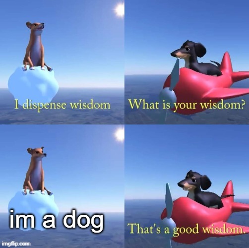 lol | im a dog | image tagged in wisdom dog | made w/ Imgflip meme maker