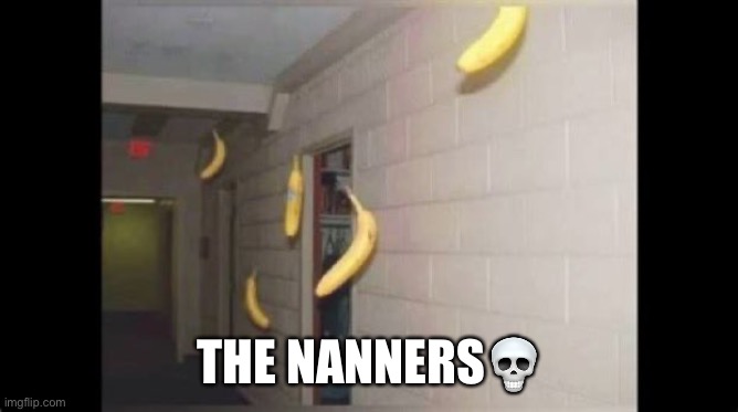 THE NANNERS💀 | image tagged in funny,memes | made w/ Imgflip meme maker