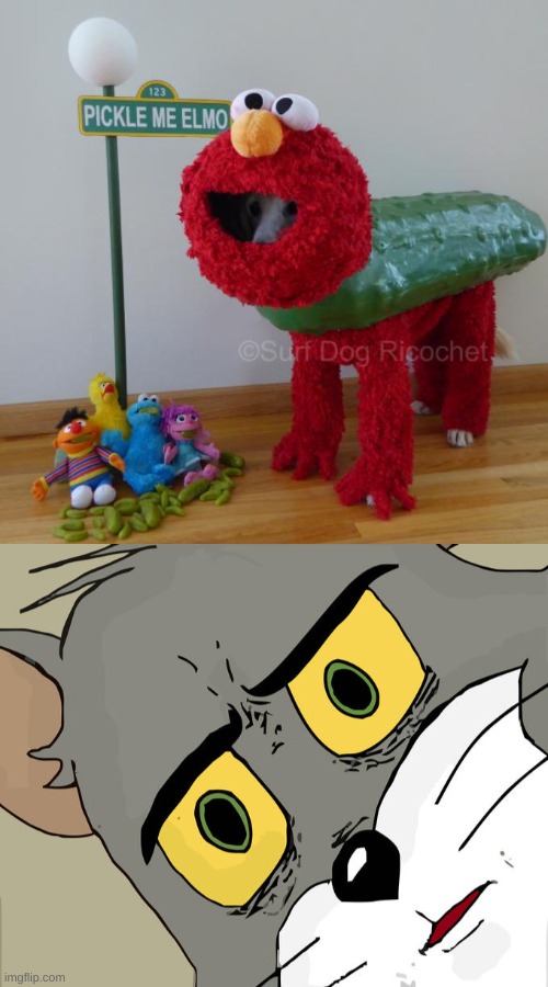 pickle me elmo | image tagged in tom and jerry,elmo,tickle me elmo,pickles,unsettled tom | made w/ Imgflip meme maker